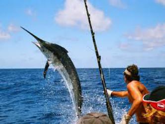 Рыбалка на Мальдивах  Big Game Fishing — экзотическая морская